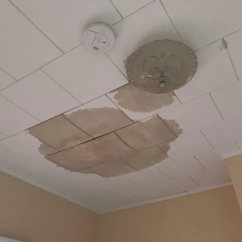Ceiling Water Damage Repair in Somonauk, IL