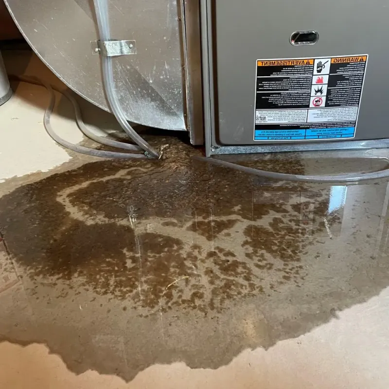 Pipe Burst and Leak Restoration in Somonauk, IL