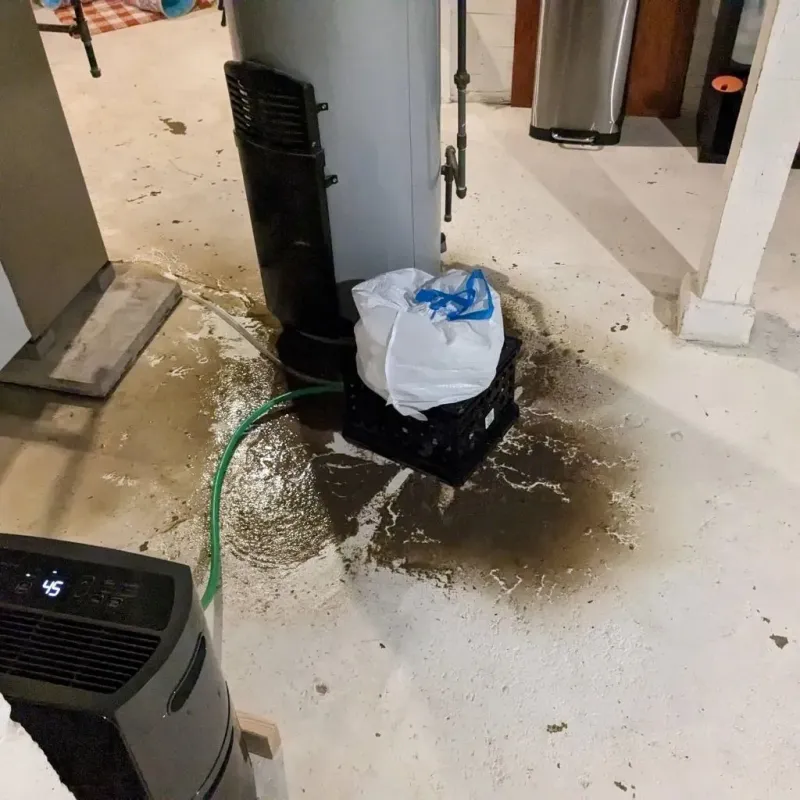 Sewage Backup Cleanup Service in Somonauk, IL